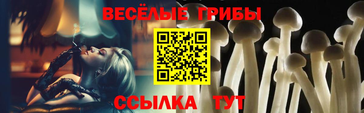 Заводоуковск  Псилоцибиновые грибы MAGIC MUSHROOMS  Псилоцибиновые грибы Magic Shrooms  купить закладку  Вход с VPN 