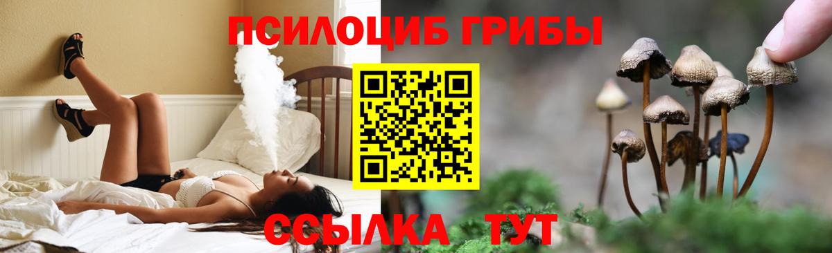 Псилоцибиновые грибы Psilocybine cubensis Заводоуковск